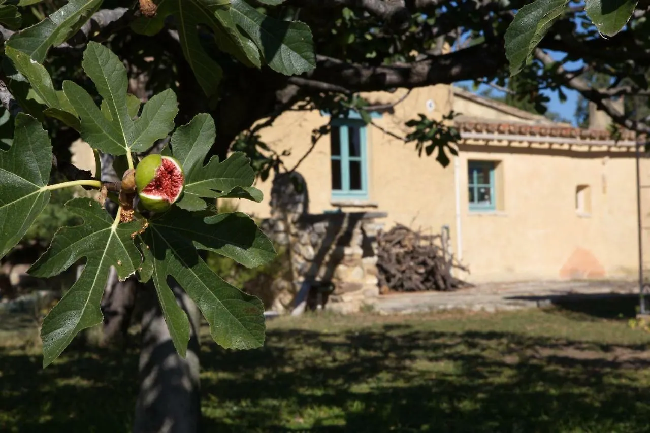 Gite Mas Antinea Mazan France